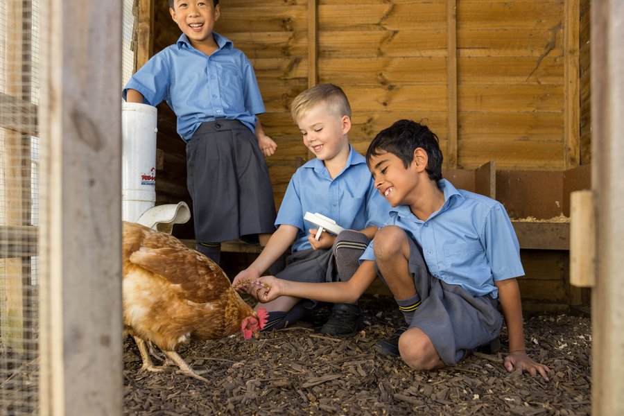 St Ives_kindy_image 3